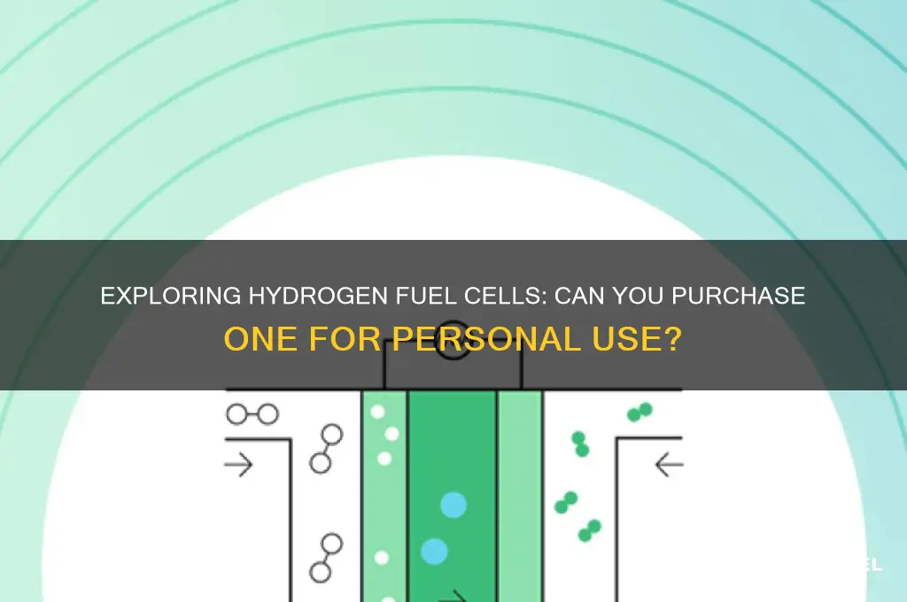 can i buy a hydrogen fuel cell