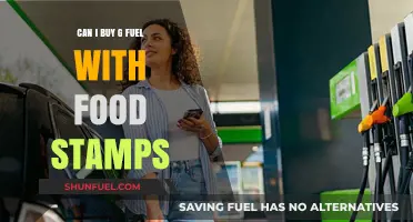 Using Food Stamps for G Fuel: Eligibility and Purchase Guidelines