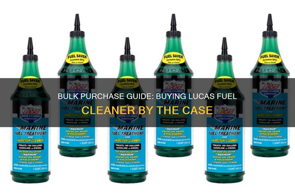 can i buy lucas fuel cleaner by the casep p