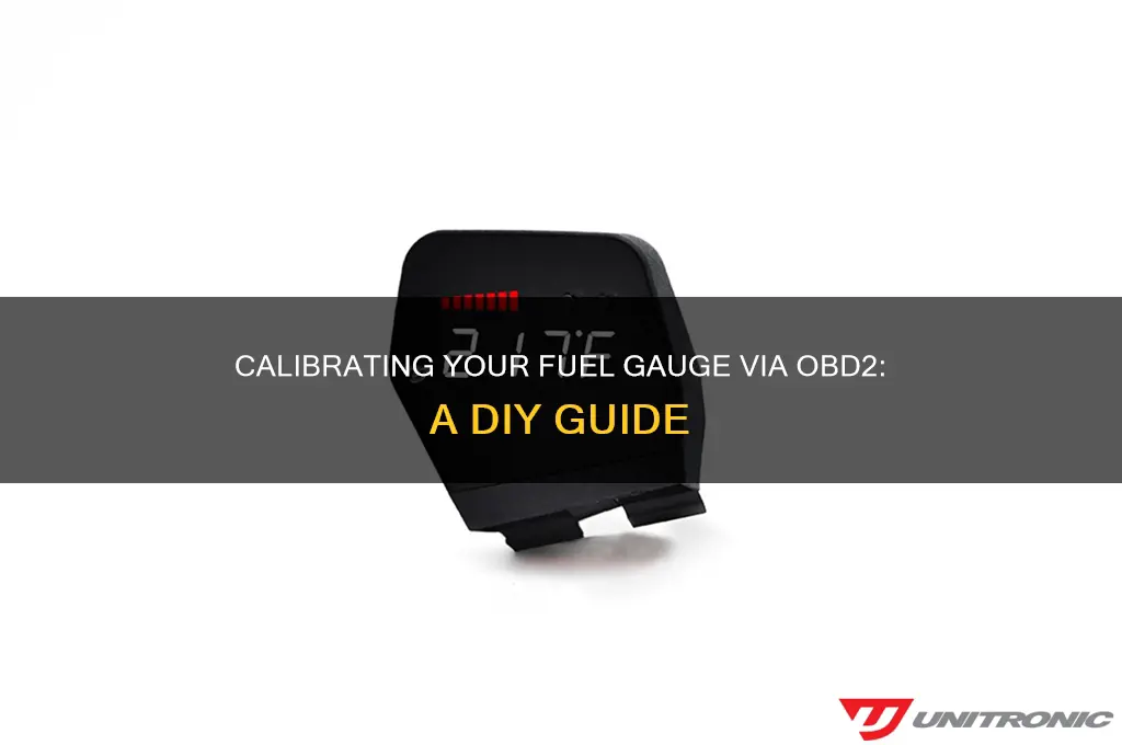 can i calibrate my fuel gauge using odb2