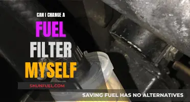 Fuel Filter Change: DIY or Not?