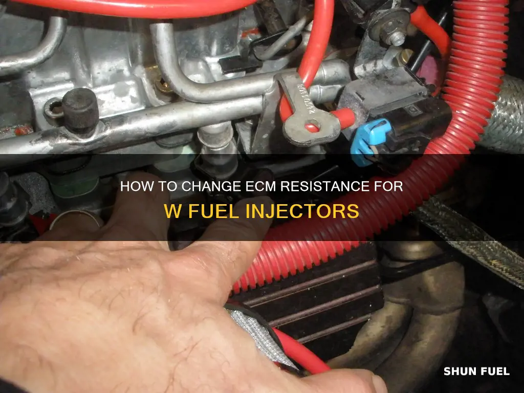 can i change resistance in ecm for w fuel injectors