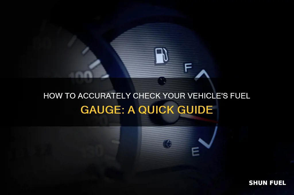 can i check a fuel gauge