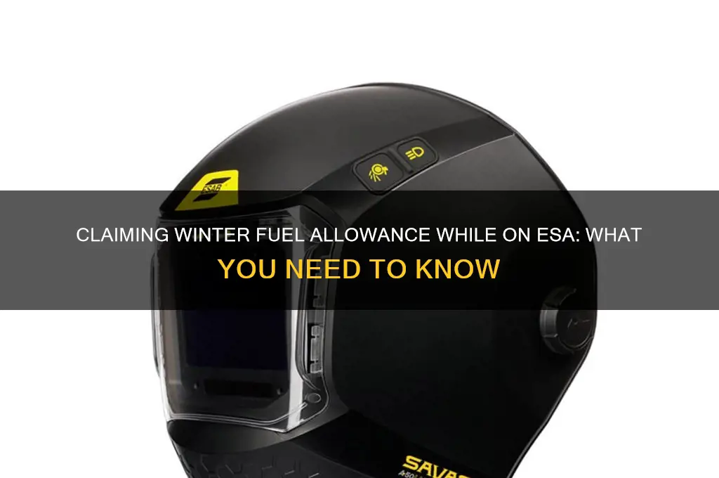 can i claim winter fuel allowance on esa