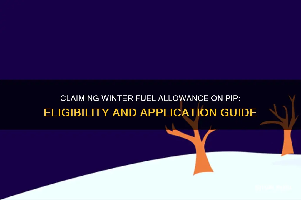 can i claim winter fuel allowance on pip