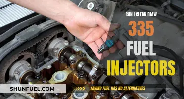 Cleaning BMW 335 Fuel Injectors: DIY or Professional Help?