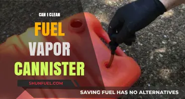 How to Clean a Fuel Vapor Canister: DIY Guide and Tips