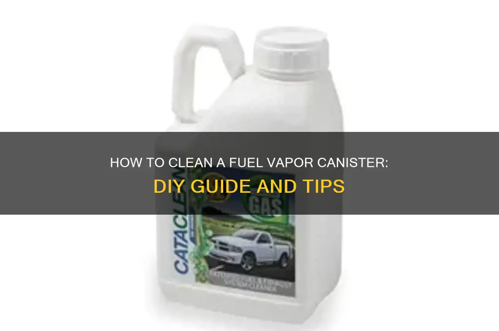 can i clean fuel vapor cannister