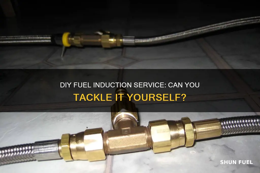 can i do a fuel induction service yourself