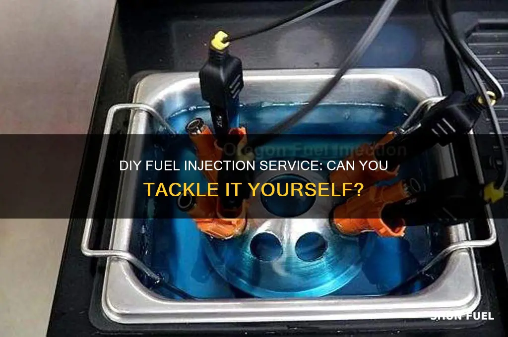 can i do a fuel injection service myself