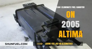Eliminating the Fuel Canister on a 2005 Altima: Is It Possible?