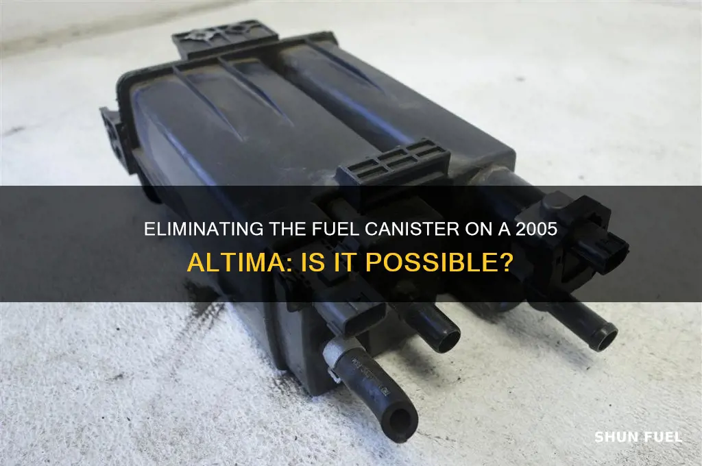 can i eliminate fuel canister on 2005 altima