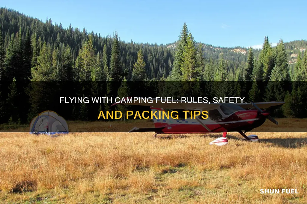 can i fly with camping fuel