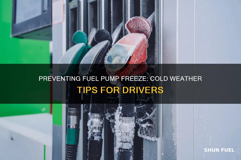 can i get fuel pump freeze in cold weather
