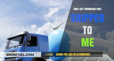 Hydrogen Fuel Delivery: Can You Get It Shipped to Your Door?