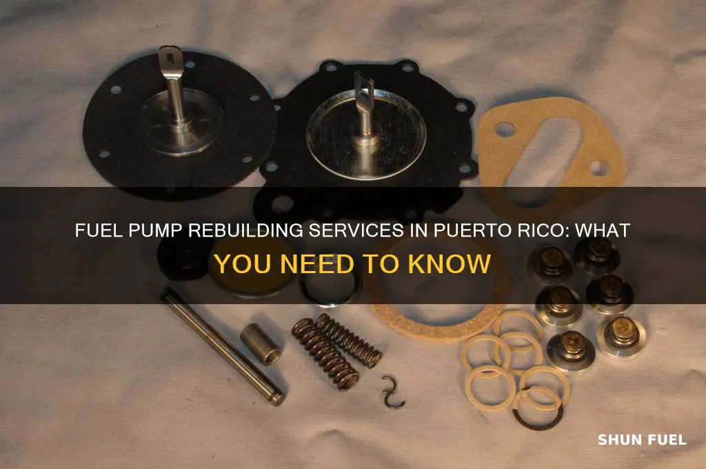 can i get my fuel pump rebuilt in puert rico