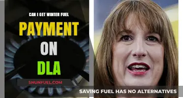 Winter Fuel Payment Eligibility: Can DLA Recipients Claim This Benefit?