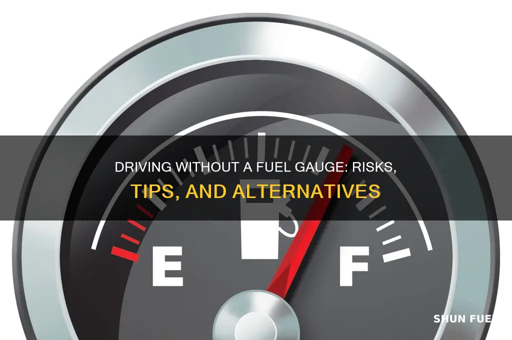 can i go without a working fuel gage