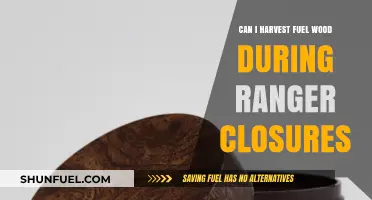 Harvesting Fuel Wood During Ranger Closures: Rules and Alternatives