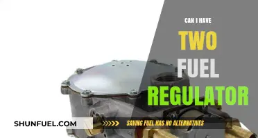 Dual Fuel Regulators: Can You Install Two for Better Performance?