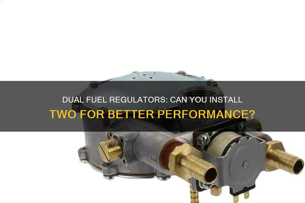 can i have two fuel regulator