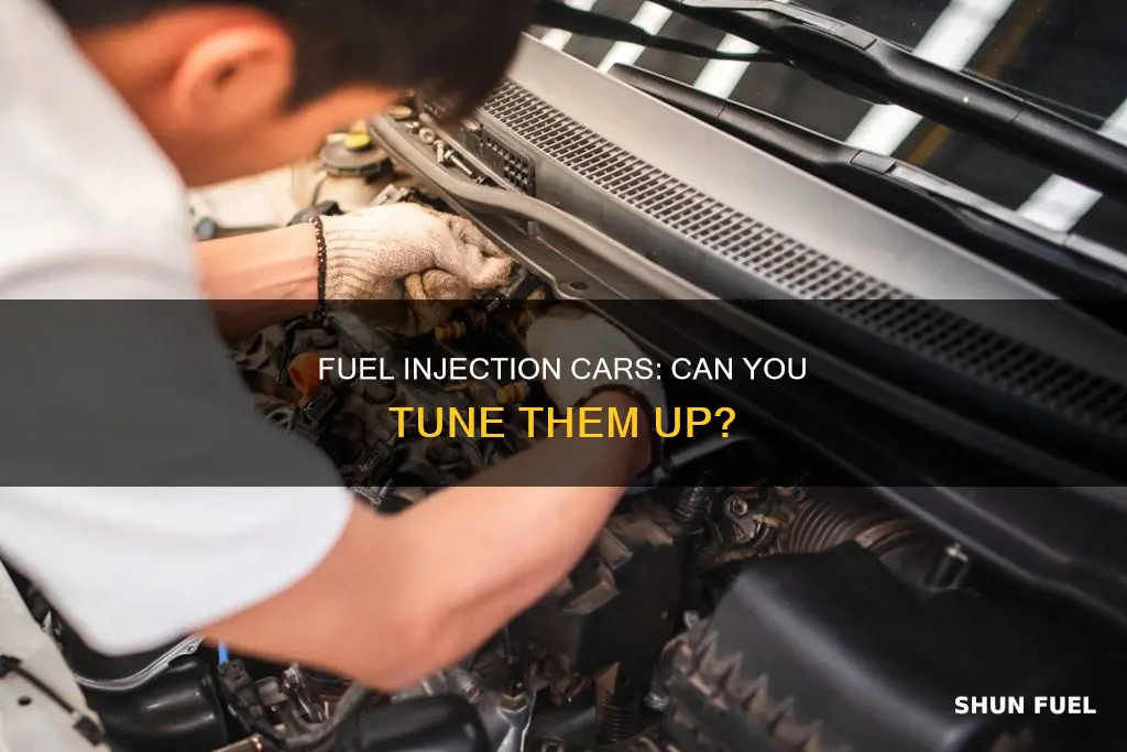 can i idek up a fuel injected car
