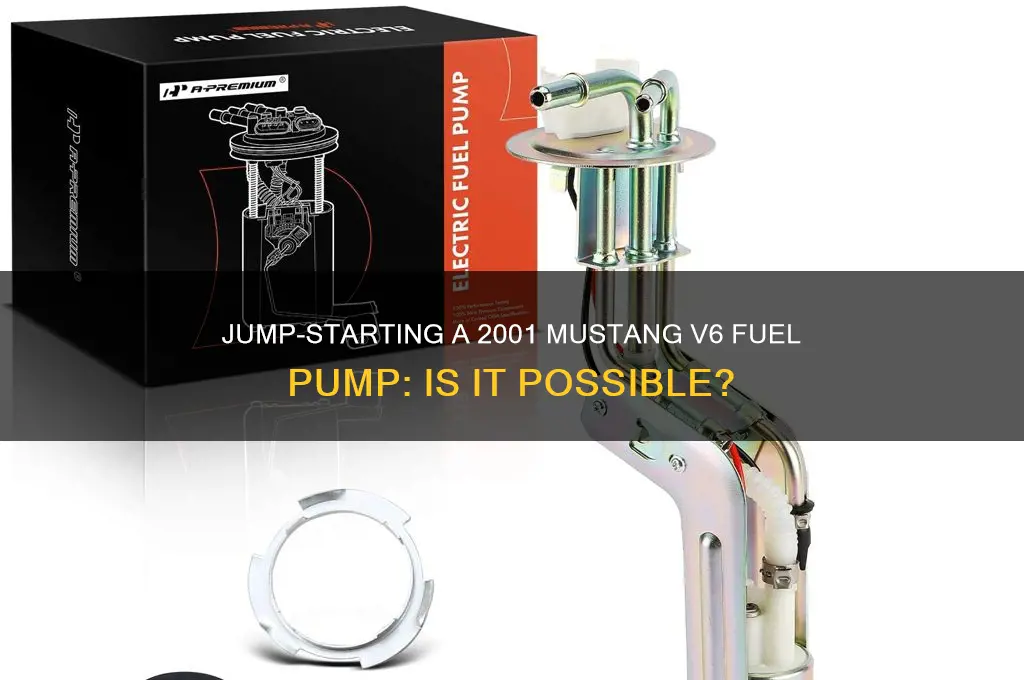 can i jump fuel pump 2001 mustang v6