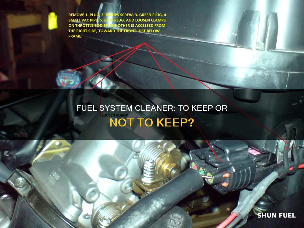 can i leave fuel system cleaner in my car