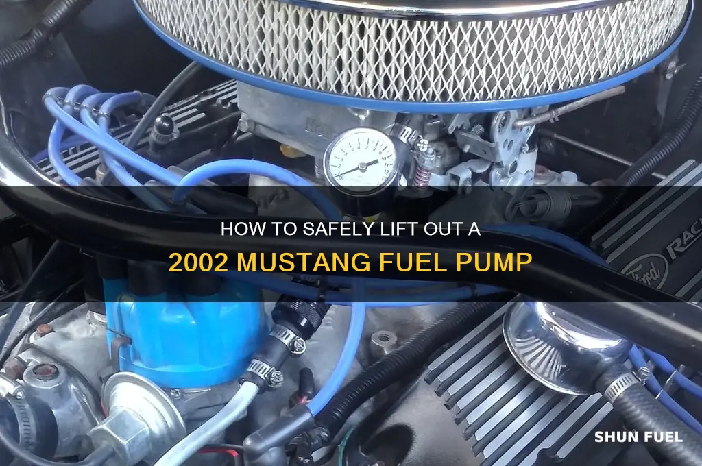 can i lift out my fuel pump on 2002 mustang