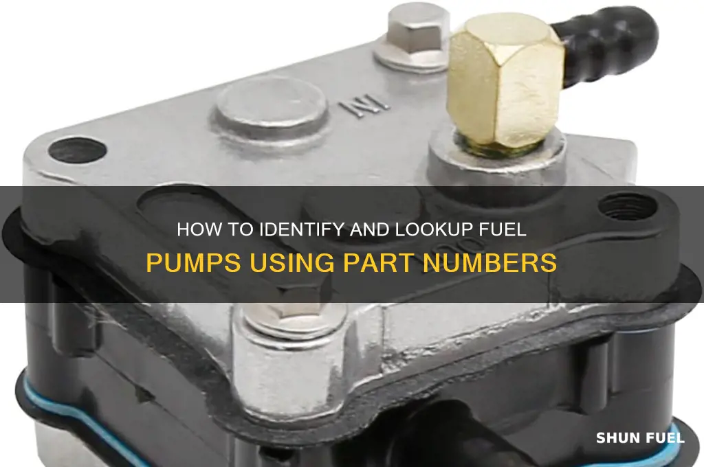 can i lookup fuel pump by part number
