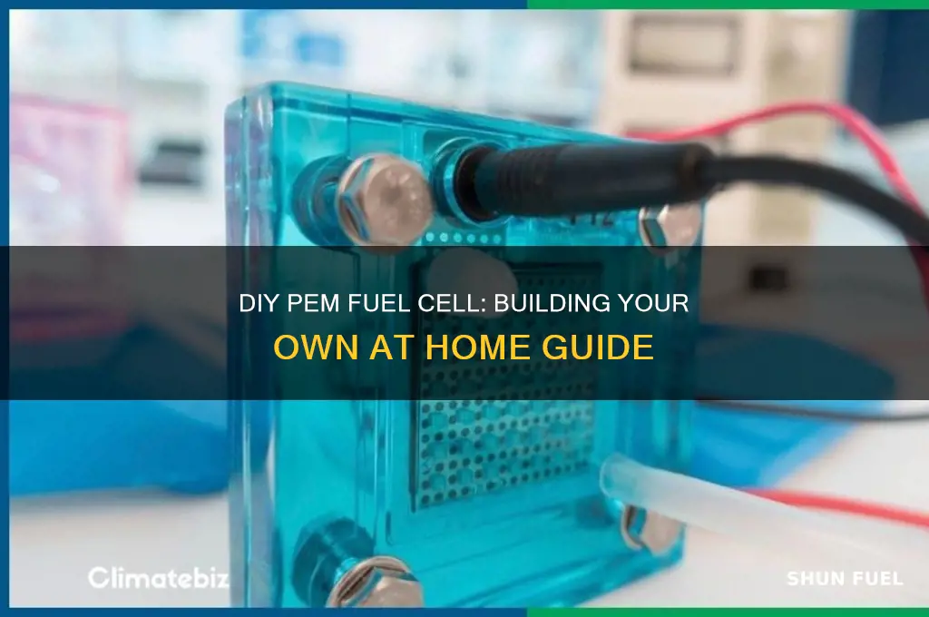 can i make a pem fuel cell at home