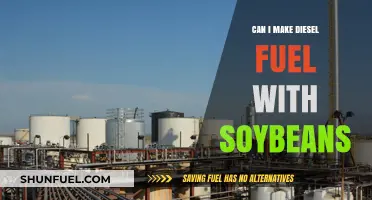 Soybeans: The Future of Diesel Fuel?