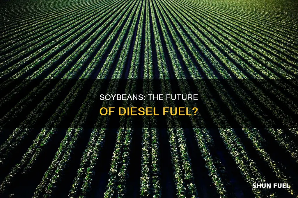 can i make diesel fuel with soybeans