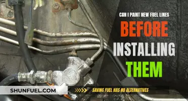 Should You Paint New Fuel Lines Before Installation?