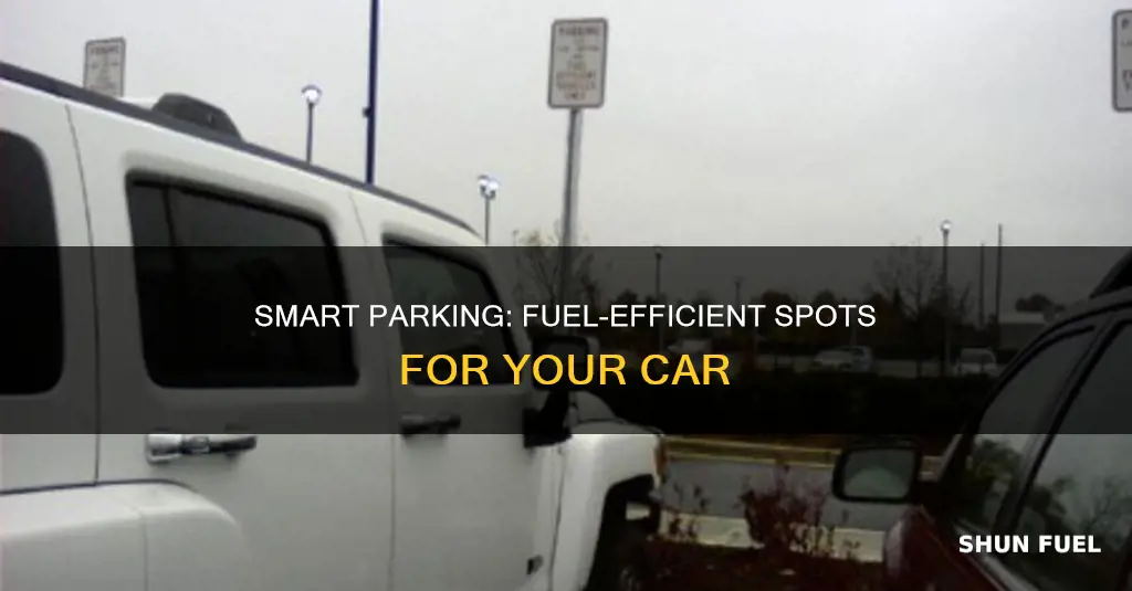can i park my car in fuel efficient parking