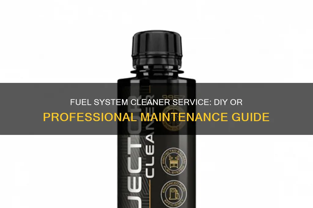 can i perform a fuel system cleaner service