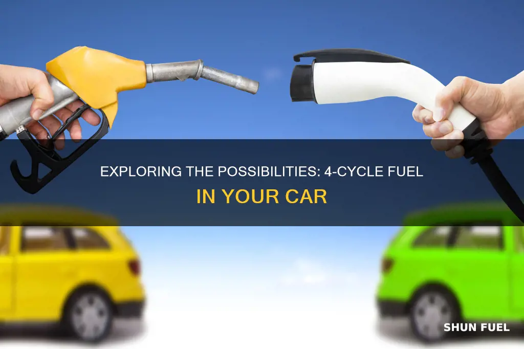 can i put 4 cycle fuel in my car