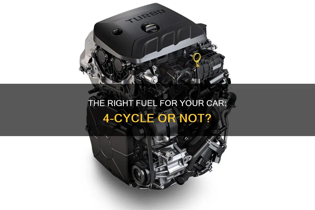 can i put 4 cycle fuel in my car