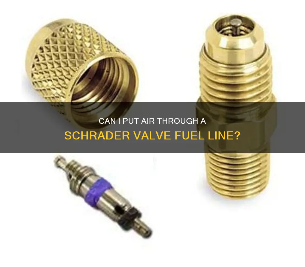 can i put air thru schrader valve fuel line