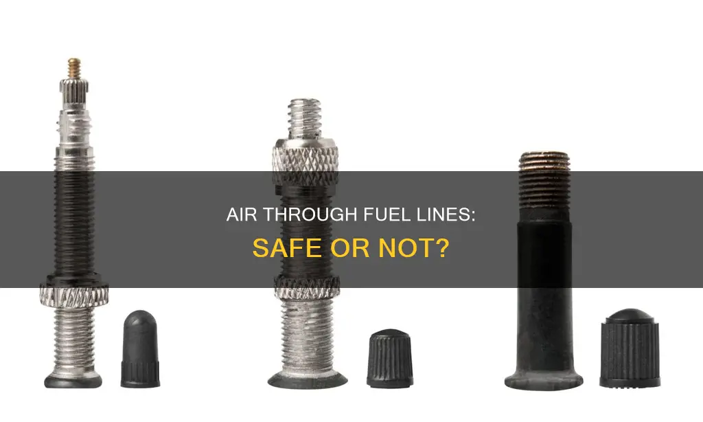 can i put air thru schrader valve fuel line