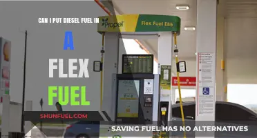 Flex Fuel Vehicles: Can You Use Diesel?