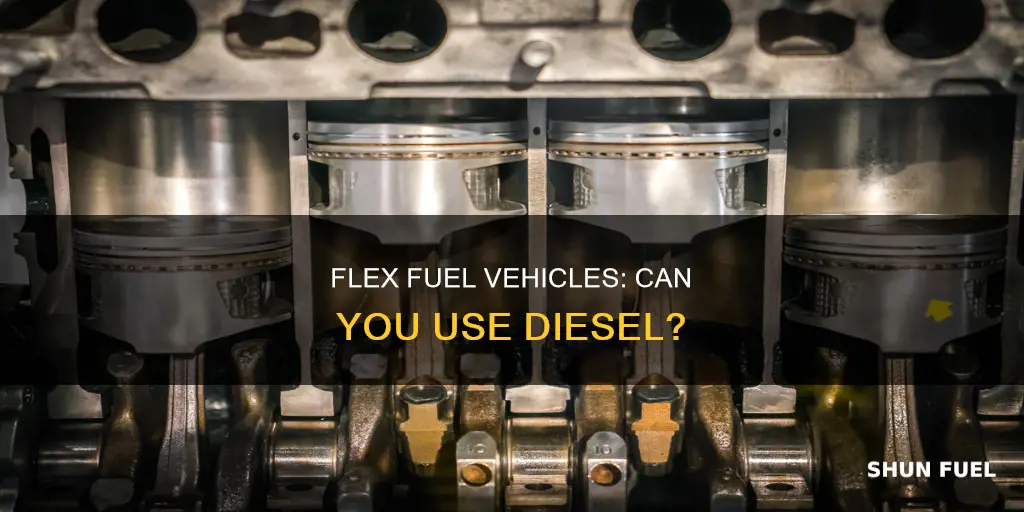 can i put diesel fuel in a flex fuel