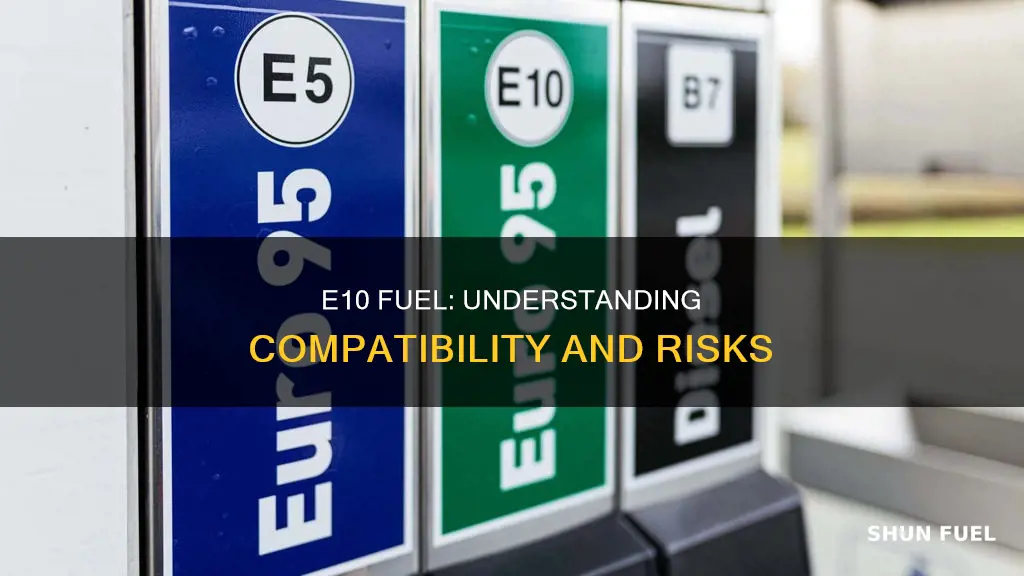 can i put e10 fuel in my car