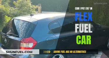 E87 Flex Fuel: Can I Use It?