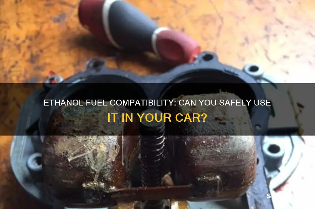 can i put ethanol fuel in my car