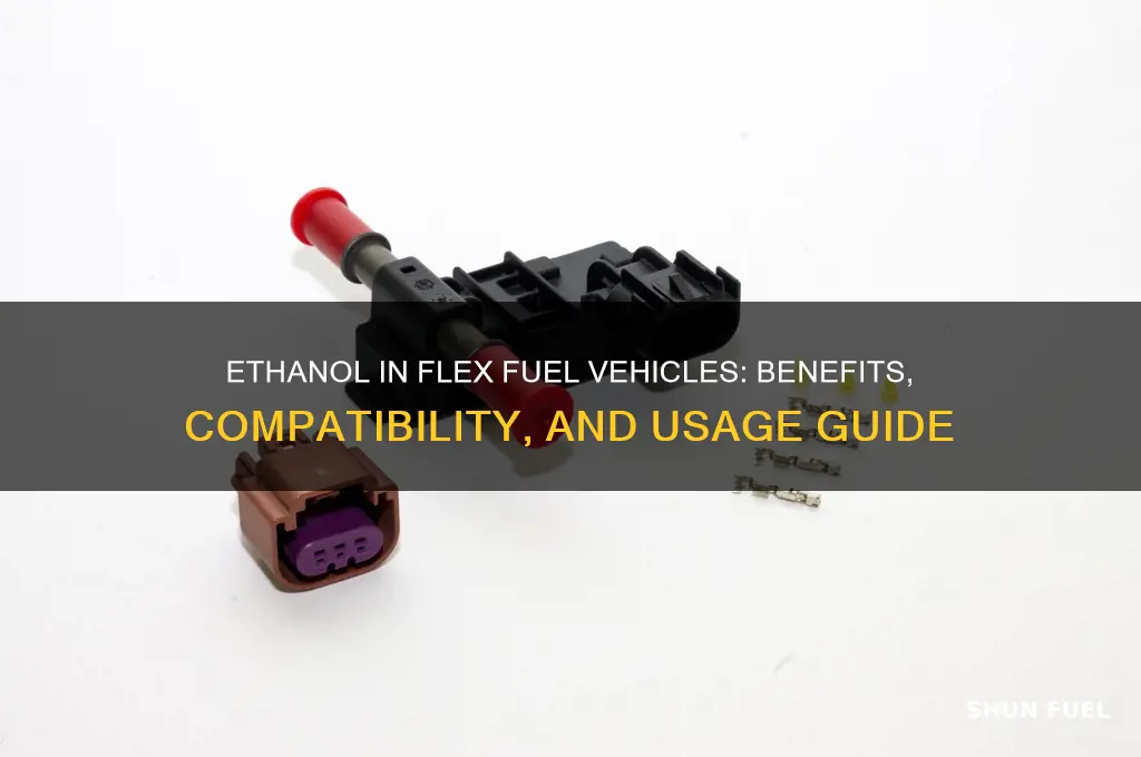 can i put ethanol in a flex fuel vehicle