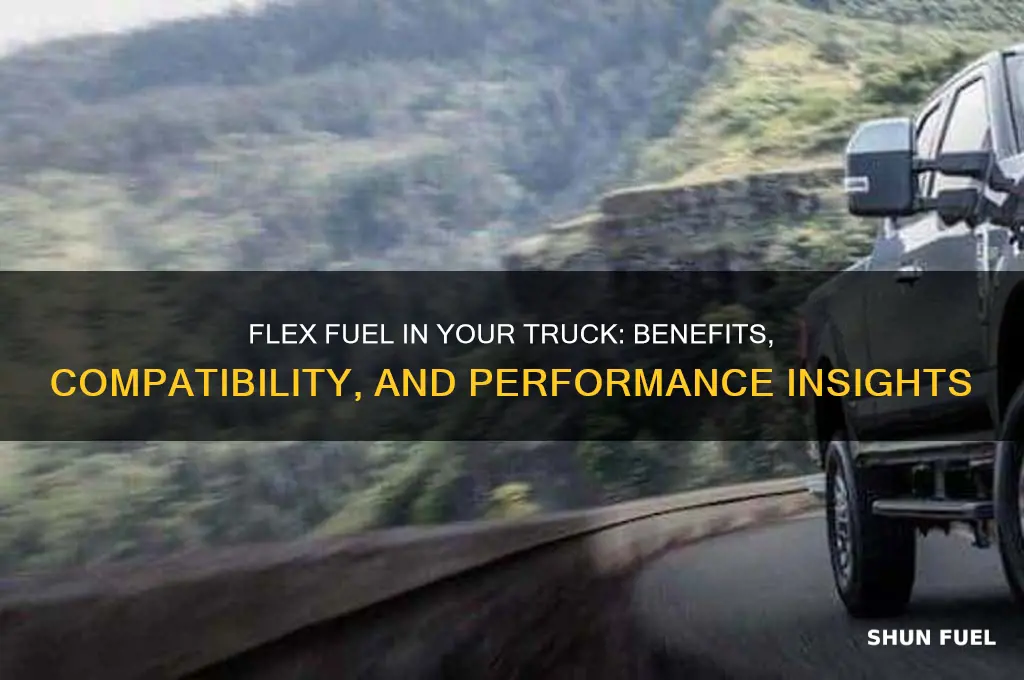 can i put flex fuel in my truck