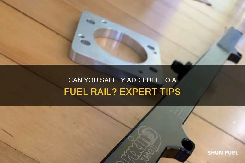 can i put fuel n fuel rail