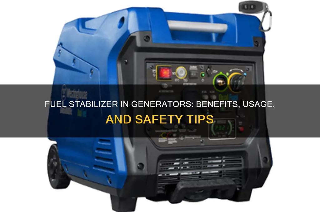 can i put fuel stabilizer in my generator