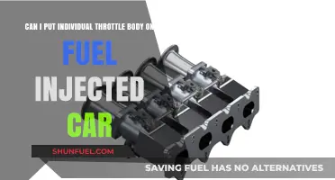 Upgrading Fuel-Injected Cars: Can Individual Throttle Bodies Work?
